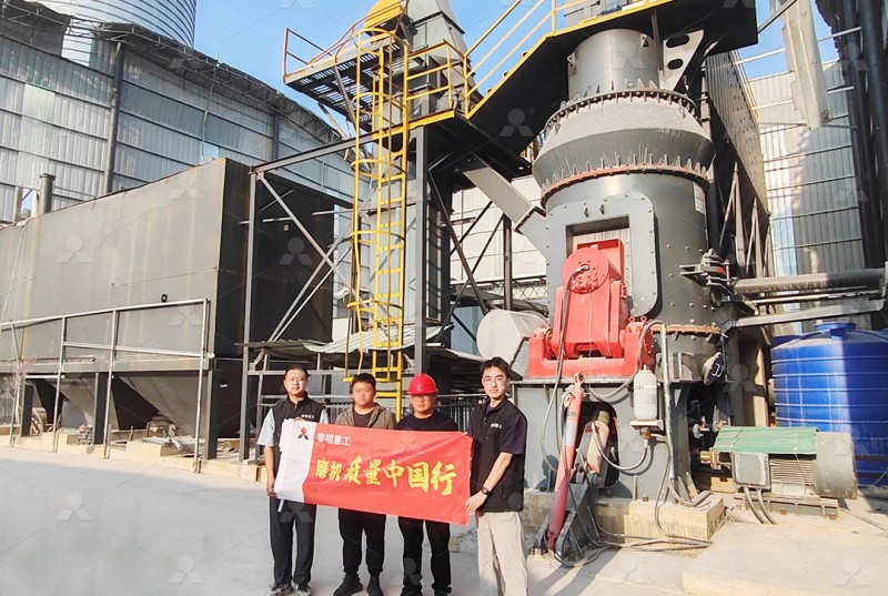 LUM Ultrafine Vertical Grinding Mill installation