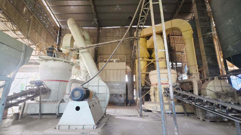 Close-up of MW Ultrafine Grinding Mill grinding roller and ring