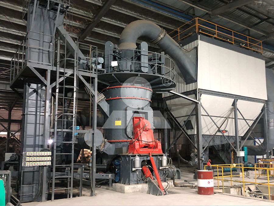 LUM Vertical Mill roller removal for maintenance access