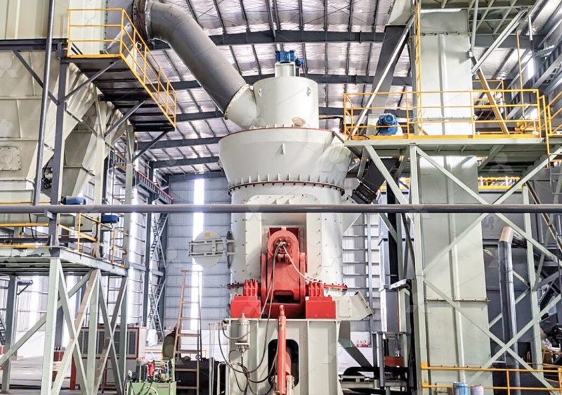 Vertical mill grinding zone with roller and ring